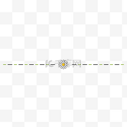 春季小雏菊分割线