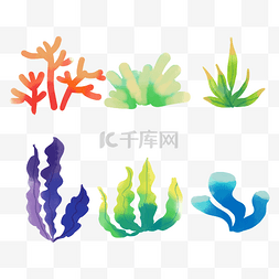 彩色珊瑚海藻