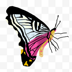 彩色花纹蝴蝶元素