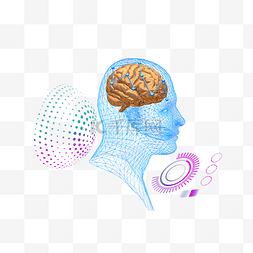 网络技术大脑