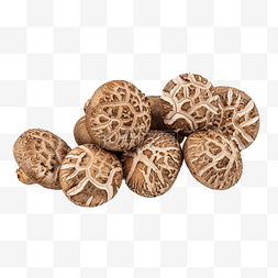 香菇花菇