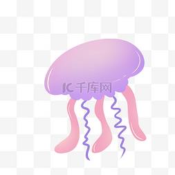 紫色水母生物