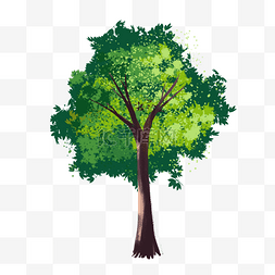 绿色植物茂盛的大树
