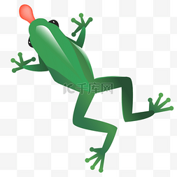绿色青蛙图片_绿色青蛙蛤蟆