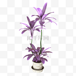 样板间图片图片_紫色花束盆栽