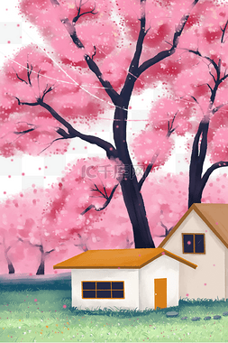 樱花节粉色樱花风景