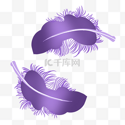 紫色漂浮动物羽毛