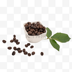咖啡豆树叶图片_咖啡豆和白色小杯子