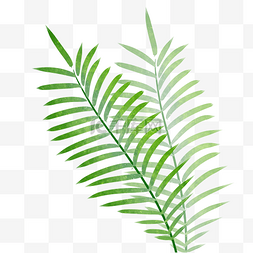 水彩绿色植物图片_绿色植物叶子