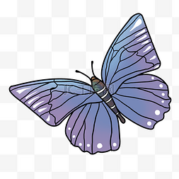 彩色图案蝴蝶插图