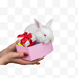 小礼品礼盒图片_小兔子礼盒礼品