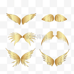 金色质感羽毛图片_矢量质感的金色翅膀
