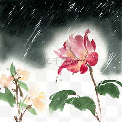 风雨交加图片_夜里的玫瑰