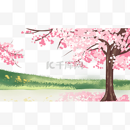 樱花树图片_春季植物草地樱花树