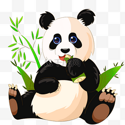 熊猫吃竹子图片_可怜大熊猫