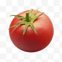 西红柿新鲜蔬菜