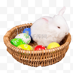 复活节节日彩蛋图片_复活节节日彩蛋兔子