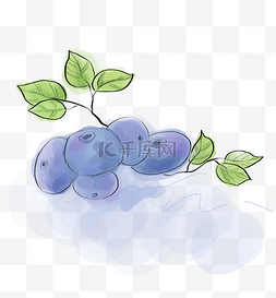 水彩蓝莓水果