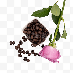 咖啡色的叶子图片_玫瑰花和咖啡豆