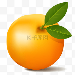 矢量仿真橙子