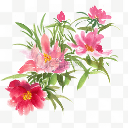中国风水墨画素材图片_鲜艳的花卉