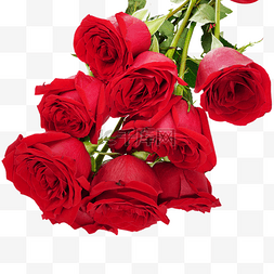 情人节鲜花红玫瑰