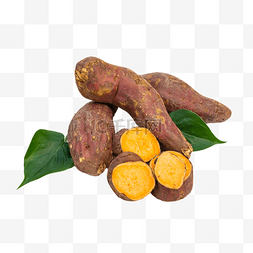 黄色烟薯红薯