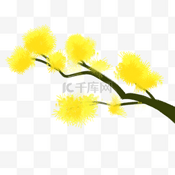 黄色卡通可爱菊花重阳节
