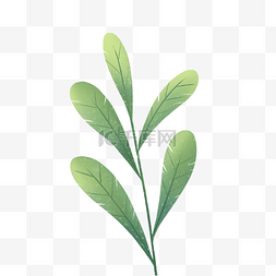分类标签手绘图片_手绘自然树叶绿色植物叶子