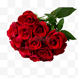 白玫瑰满天星图片_鲜红玫瑰花束