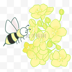 蜜蜂的插画图片_油菜花蜜蜂的插画