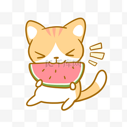 吃西瓜的橘猫