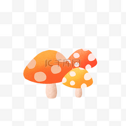 三朵新鲜的蘑菇