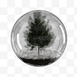 雪玻璃图片_雪地上的圣诞树玻璃球
