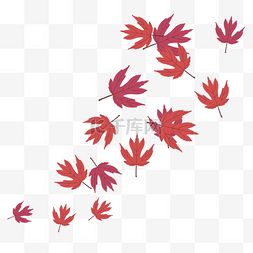 红色飘落枫叶叶子