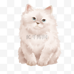 插画猫咪图片_可爱的白色猫咪插画