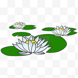 三朵白莲花图案插图