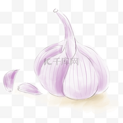 淡彩蔬菜图片_淡彩紫色的蒜