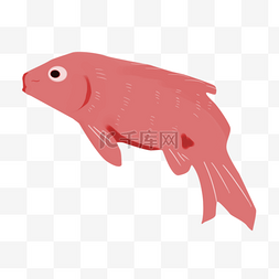 可爱红色大鱼