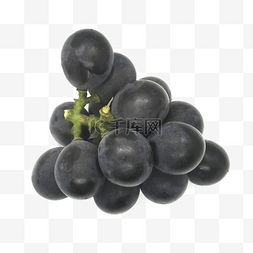 夏天水果葡萄