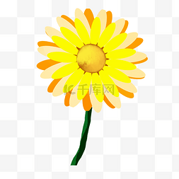 黄色花朵太阳花