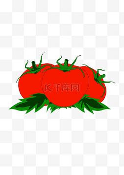 番茄图片_新鲜的西红柿