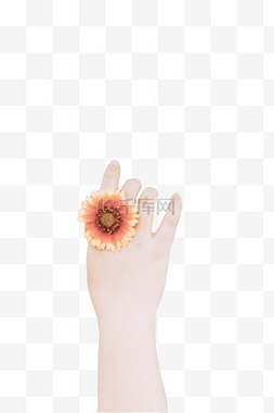 花朵手势图片_黄色花朵手势