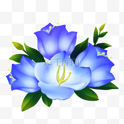 蓝色花朵梦幻图片_梦幻蓝色花朵洋桔梗