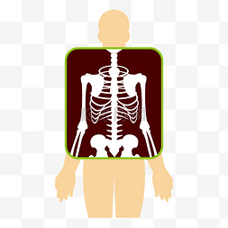 人体身体器官图片_卡通简约人体器官