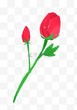 水蜜桃玫瑰图片-水蜜桃玫瑰图片素材免费下载-千库网-第143页