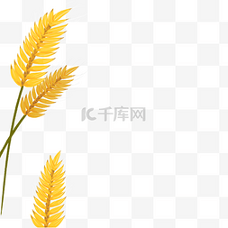 黄色的草丛图片_黄色的植物免抠图