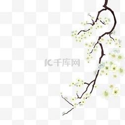 梨花水彩图片_水墨手绘国风梨花树枝