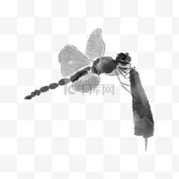 可爱水墨蜻蜓图片_水墨水彩中国风觅食蜻蜓