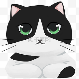 卡通黑白花图片_黑白卡通可爱大眼睛猫咪